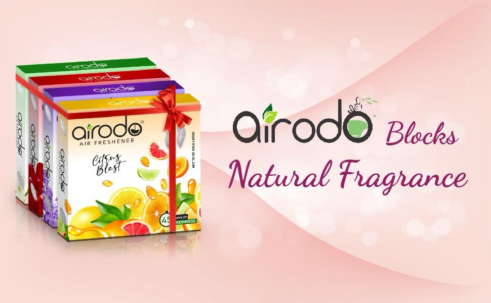 Air Freshener Blocks| Lasts Up To 45 Days | 24H Protection | Pack of 4